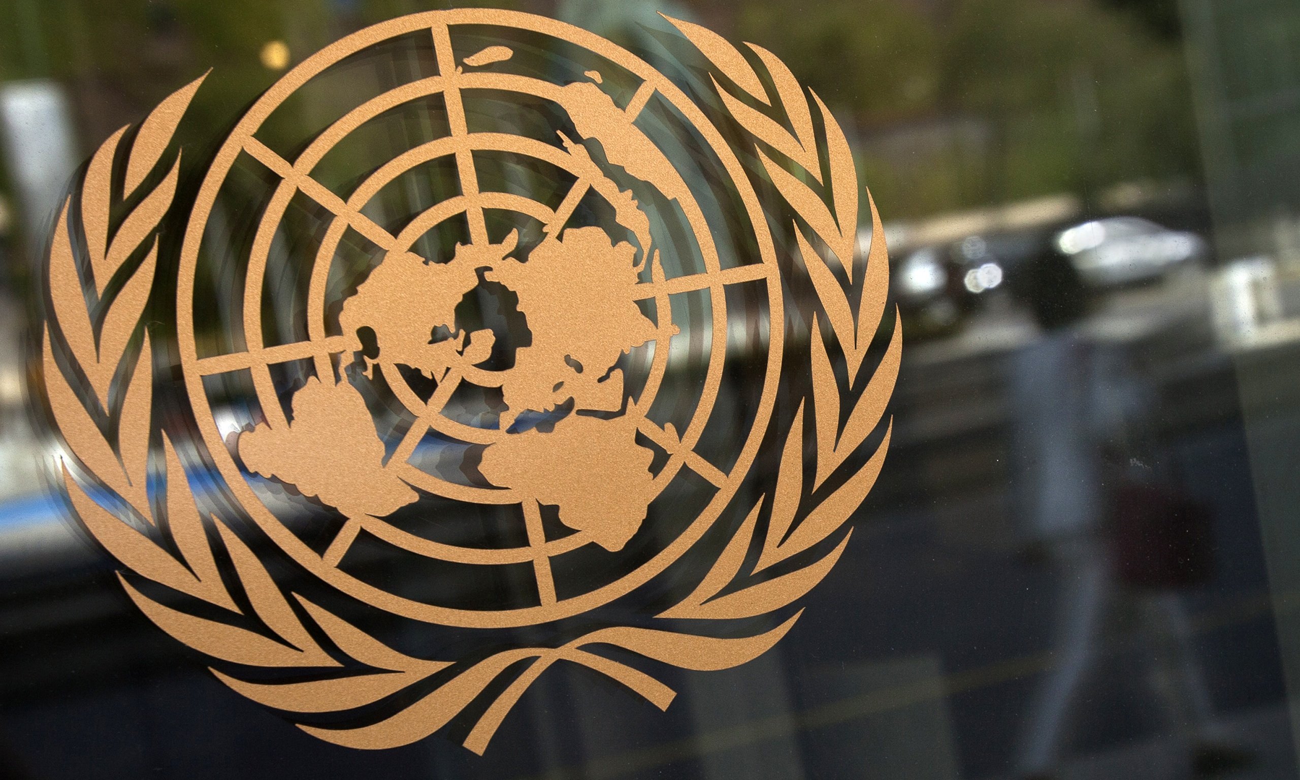 Organizaciones presentan informe alternativo sobre derecho de las personas con discapacidad ante Naciones Unidas